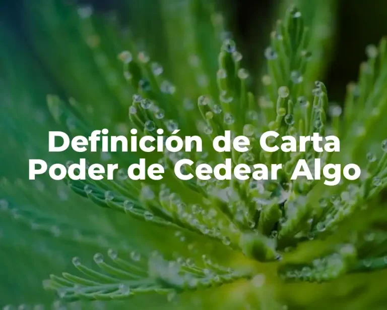 Definición de Carta Poder de Cedear Algo