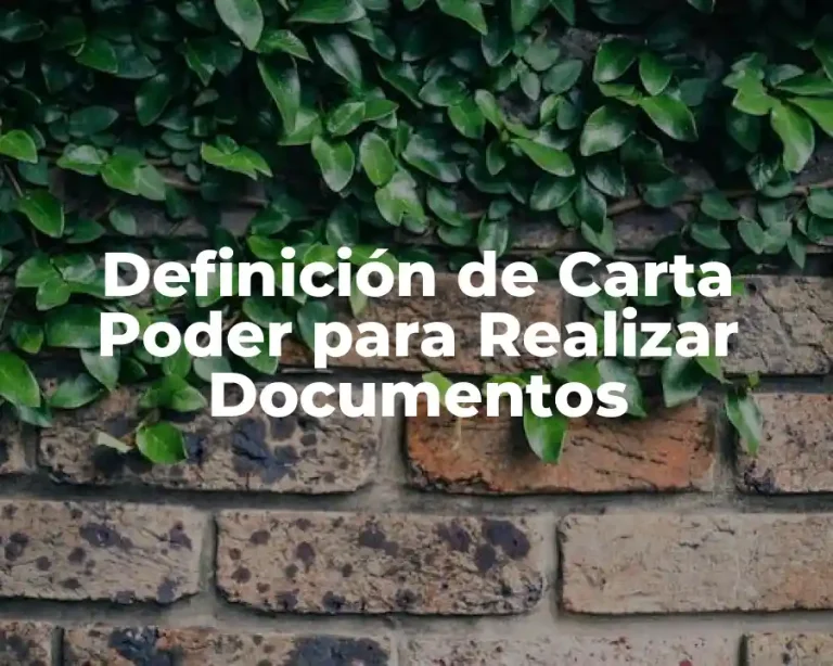 Definición de Carta Poder para Realizar Documentos