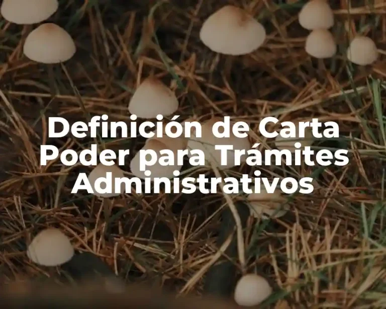 Definición de Carta Poder para Trámites Administrativos