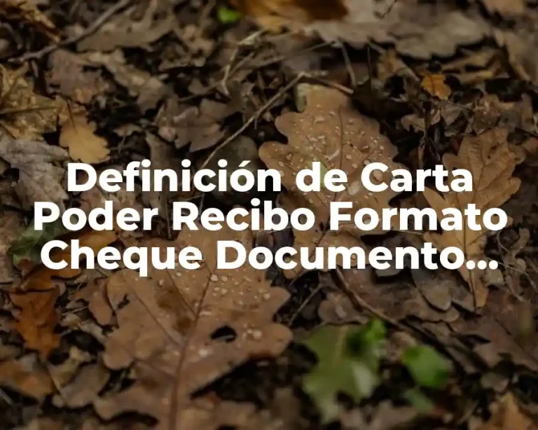 Definición de Carta Poder Recibo Formato Cheque Documento Pagare