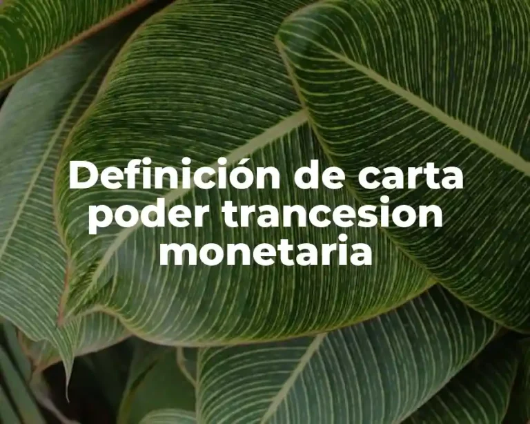 Definición de carta poder trancesion monetaria