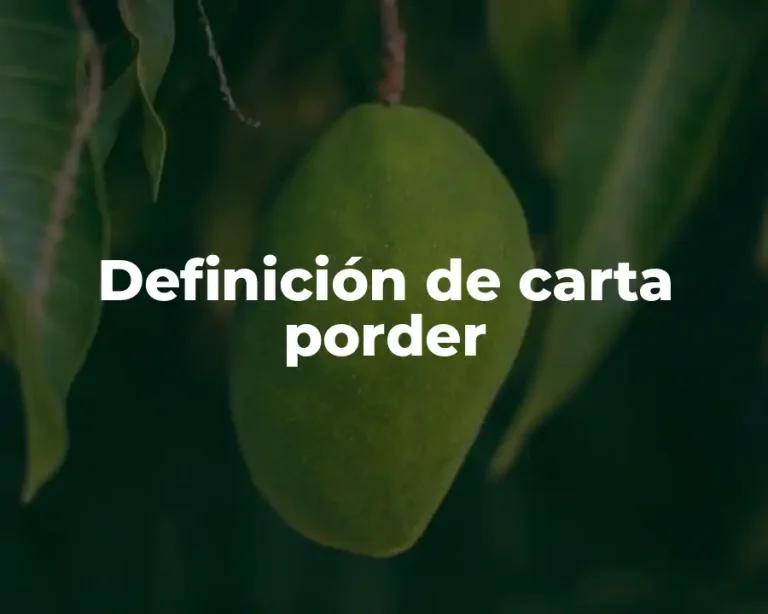 Definición de carta porder