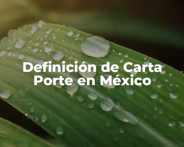 Definición de Carta Porte en México