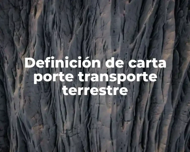 Definición de carta porte transporte terrestre
