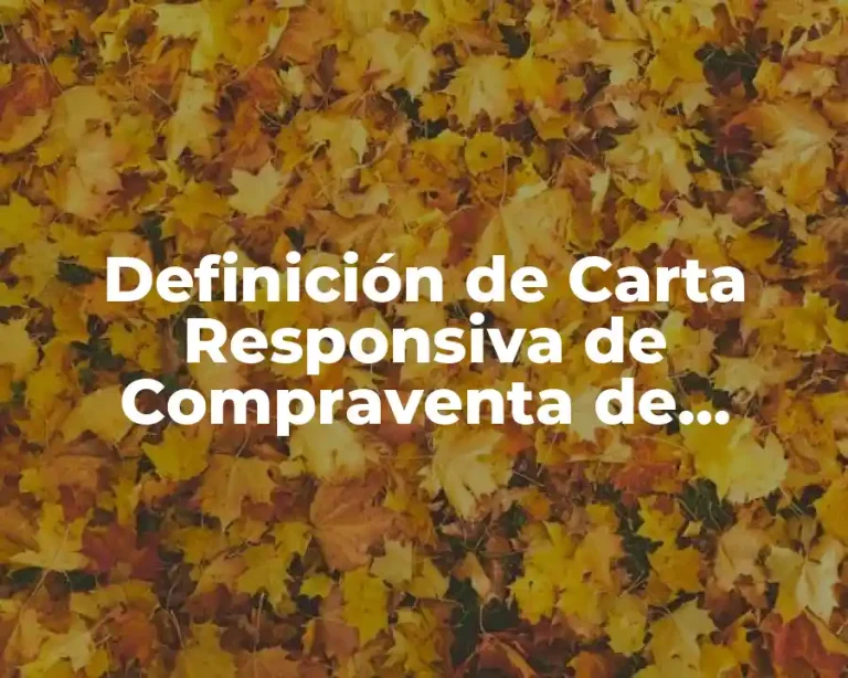 Definición de Carta Responsiva de Compraventa de Vehículo