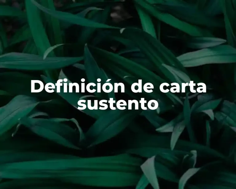 Definición de carta sustento