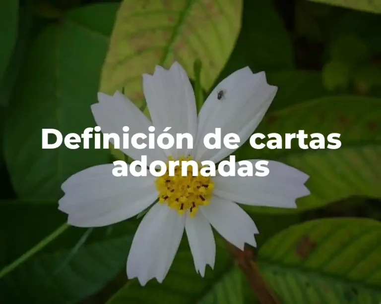 Definición de cartas adornadas