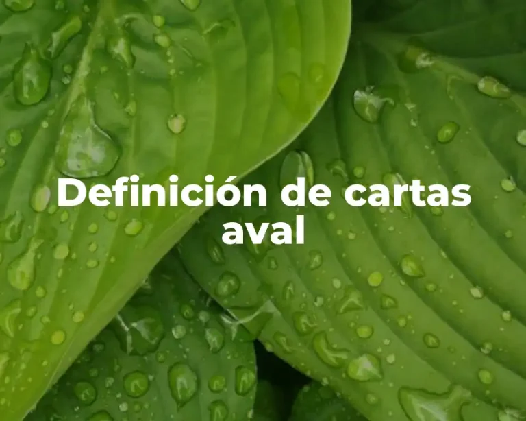 Definición de cartas aval