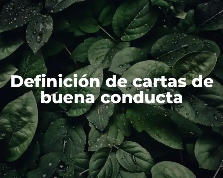 Definición de cartas de buena conducta