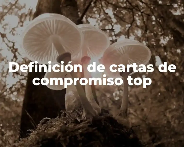 Definición de cartas de compromiso top