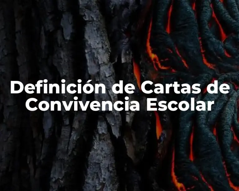 Definición de Cartas de Convivencia Escolar