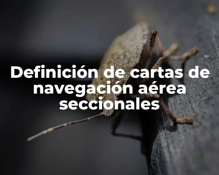 Definición de cartas de navegación aérea seccionales