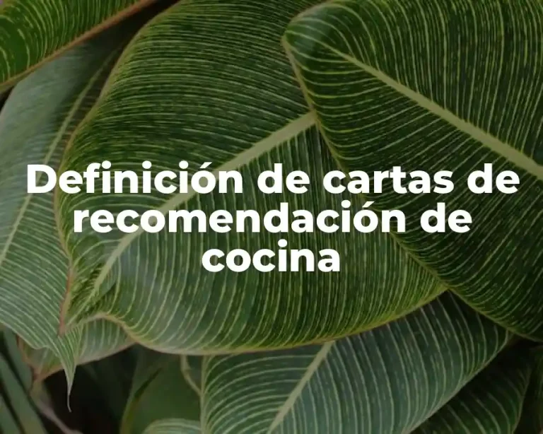 Definición de cartas de recomendación de cocina