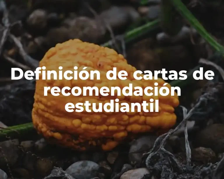 Definición de cartas de recomendación estudiantil