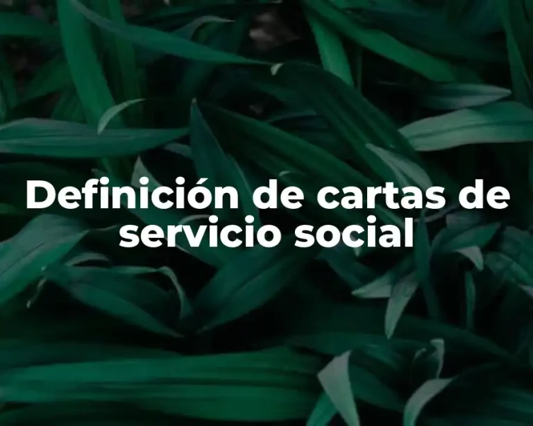 Definición de cartas de servicio social