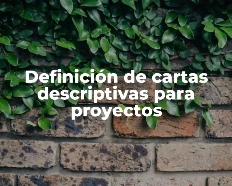 Definición de cartas descriptivas para proyectos
