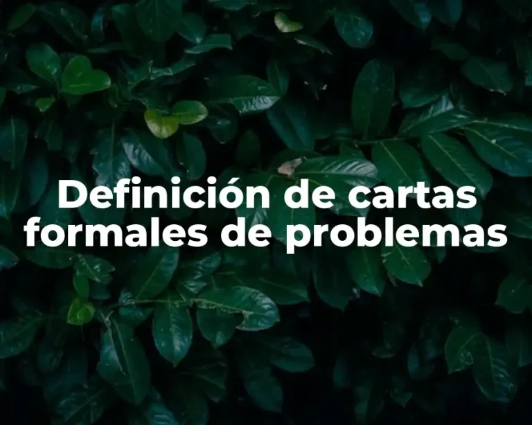 Definición de cartas formales de problemas