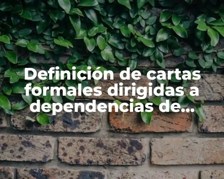 Definición de cartas formales dirigidas a dependencias de gobierno