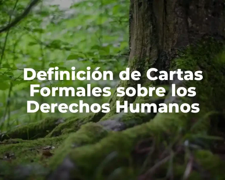 Definición de Cartas Formales sobre los Derechos Humanos