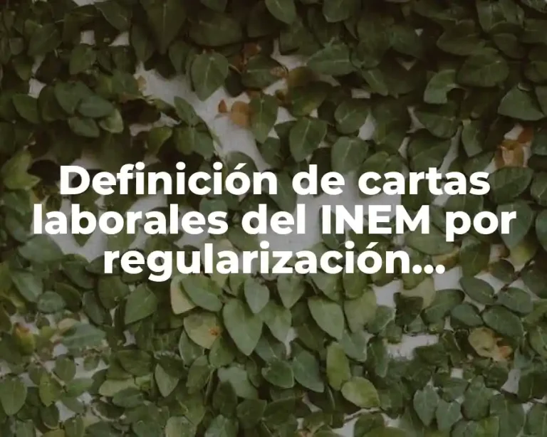 Definición de cartas laborales del INEM por regularización migratoria