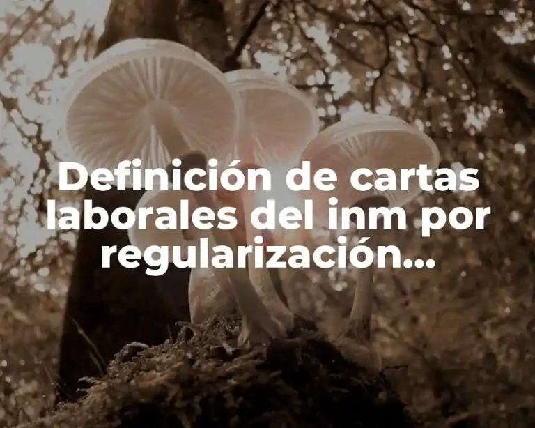 Definición de cartas laborales del inm por regularización migratoria