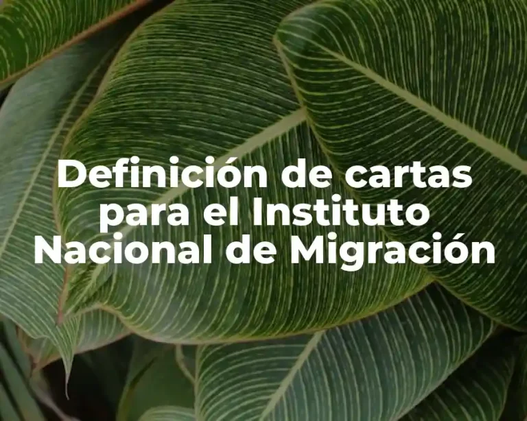 Definición de cartas para el Instituto Nacional de Migración