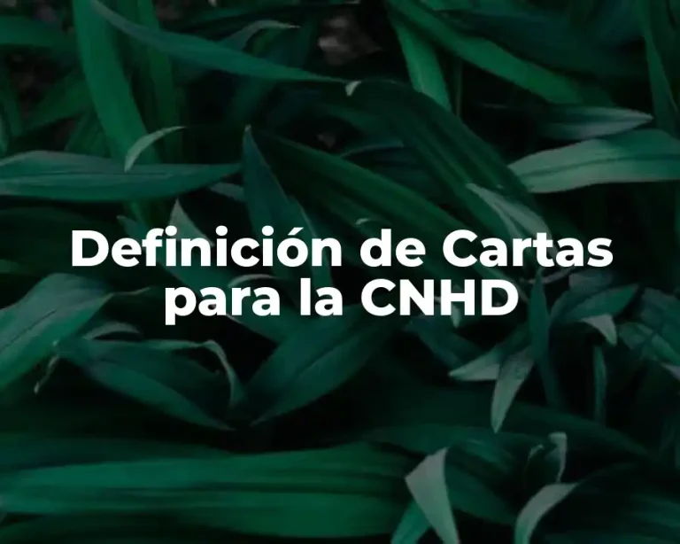 Definición de Cartas para la CNHD