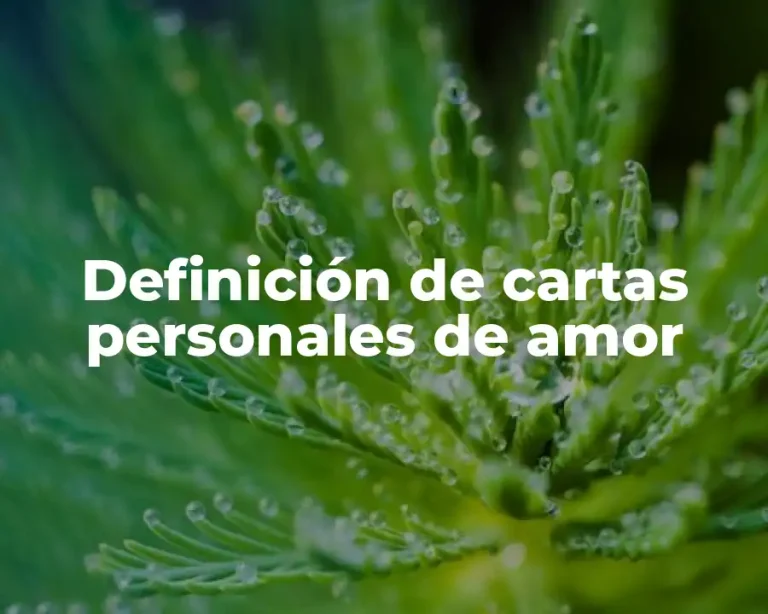 Definición de cartas personales de amor