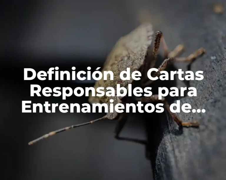 Definición de Cartas Responsables para Entrenamientos de Niños