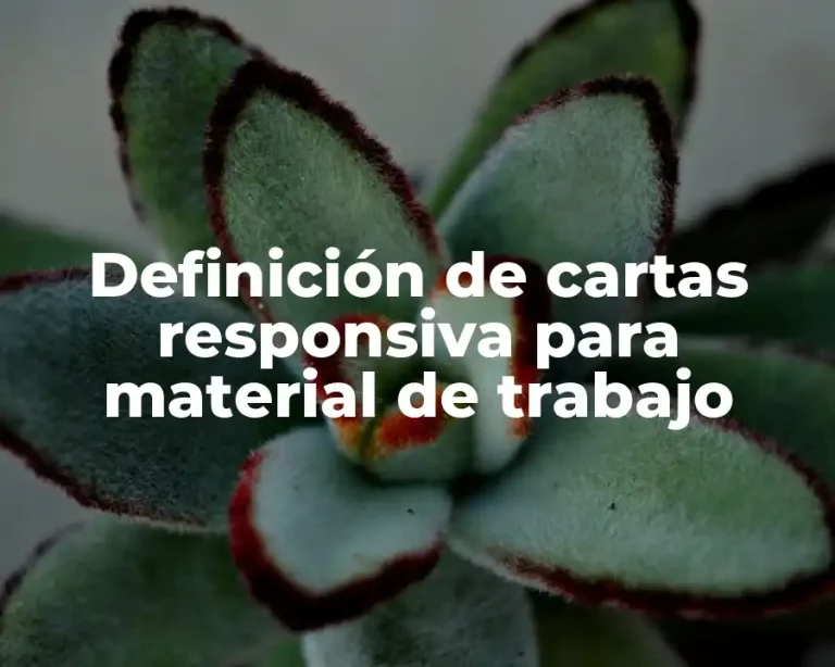Definición de cartas responsiva para material de trabajo