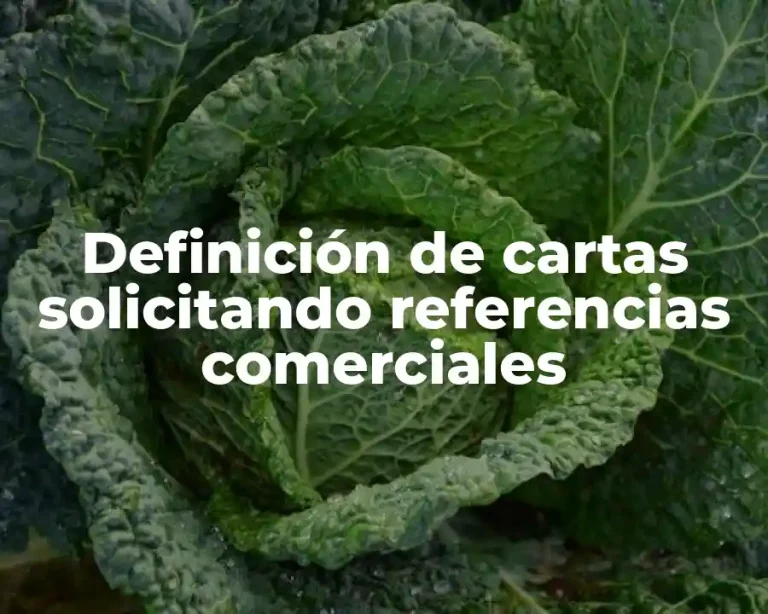 Definición de cartas solicitando referencias comerciales