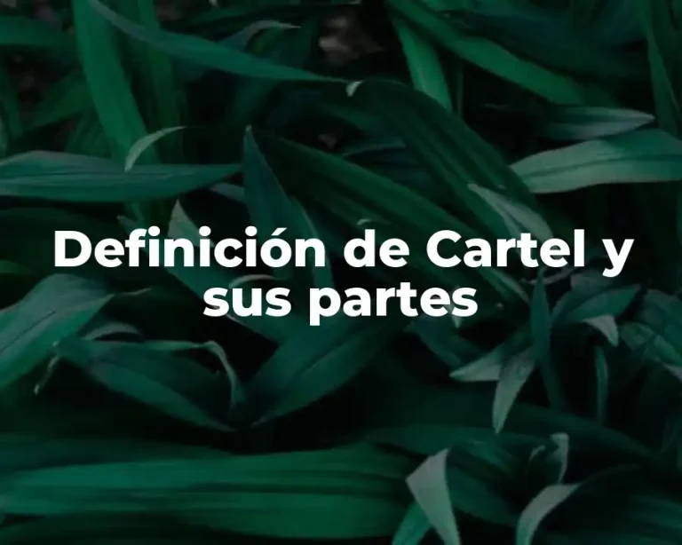 Definición de Cartel y sus partes