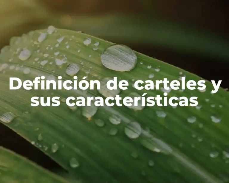 Definición de carteles y sus características