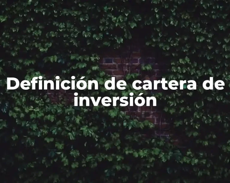 Definición de cartera de inversión
