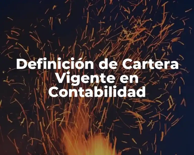 Definición de Cartera Vigente en Contabilidad