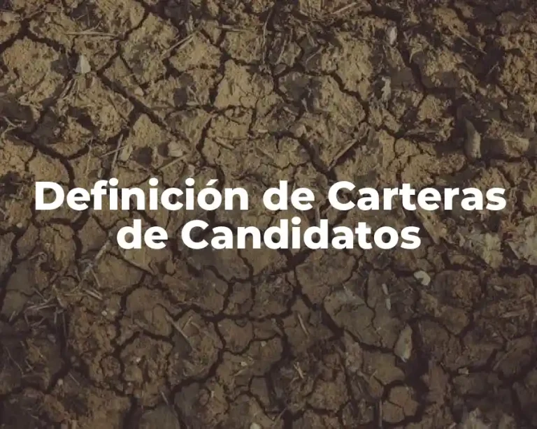 Definición de Carteras de Candidatos