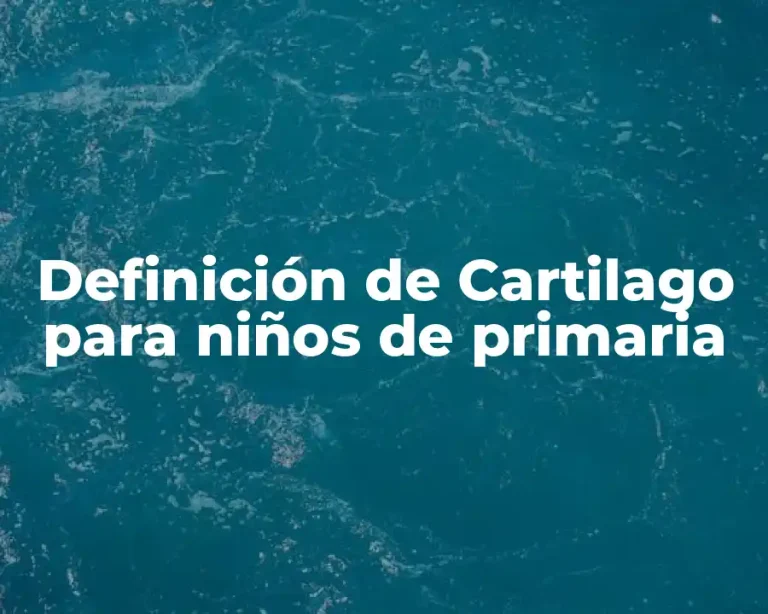 Definición de Cartilago para niños de primaria