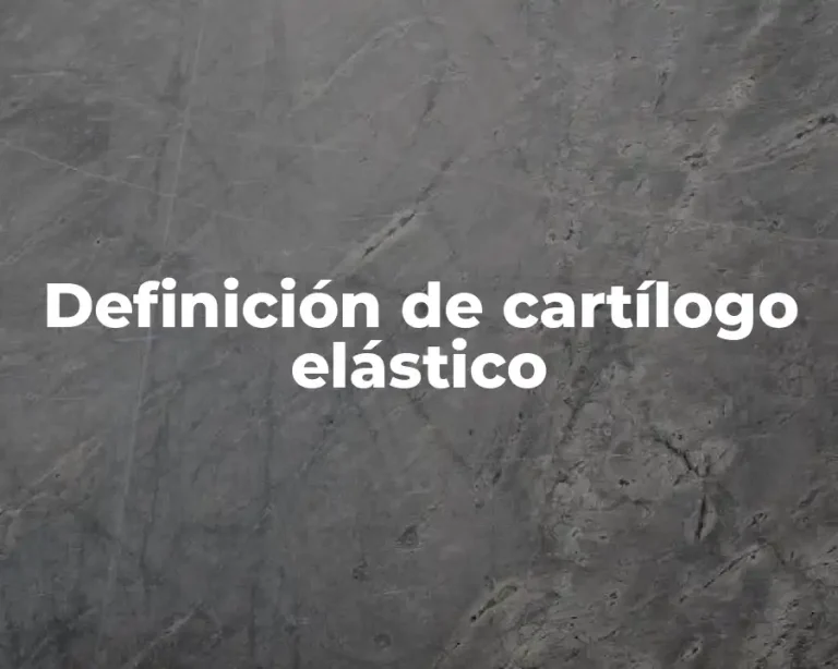 Definición de cartílogo elástico
