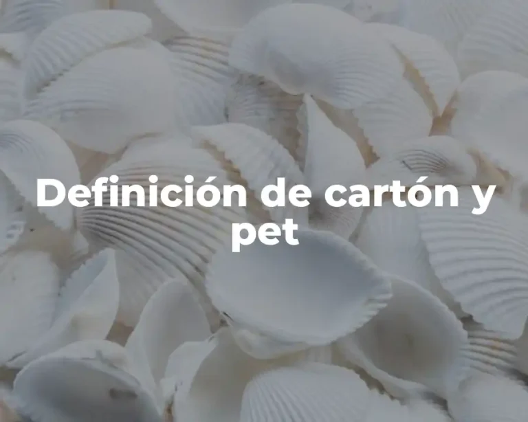 Definición de cartón y pet