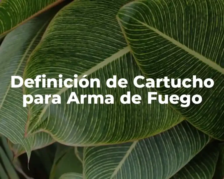 Definición de Cartucho para Arma de Fuego