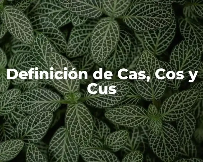 Definición de Cas, Cos y Cus