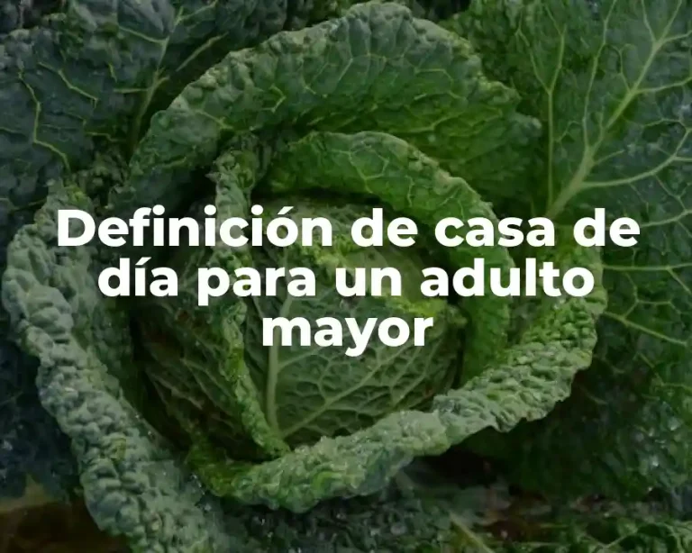 Definición de casa de día para un adulto mayor