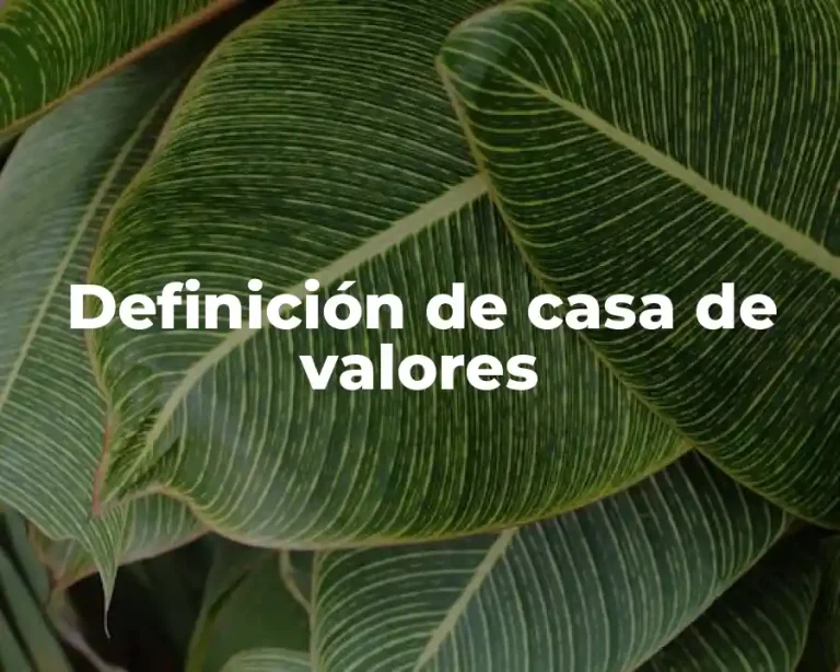 Definición de casa de valores