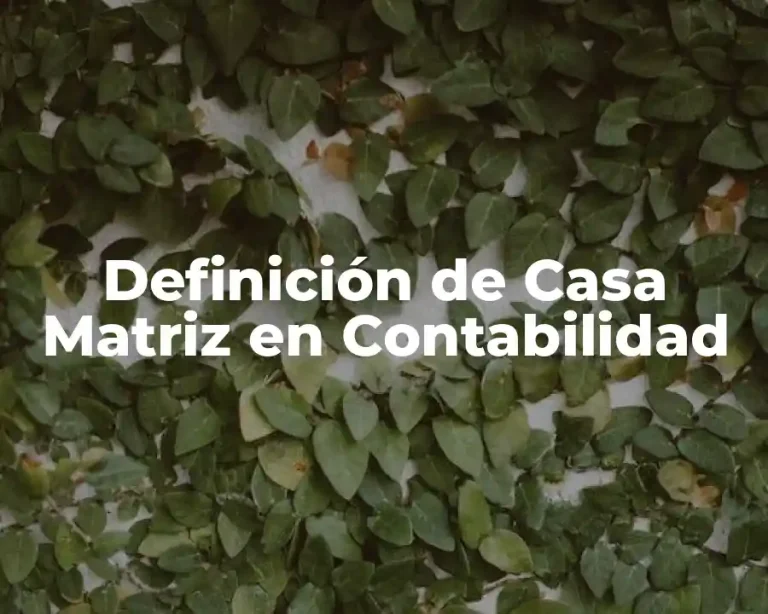 Definición de Casa Matriz en Contabilidad