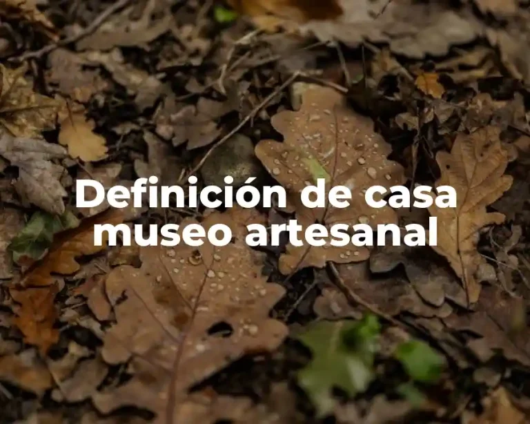 Definición de casa museo artesanal