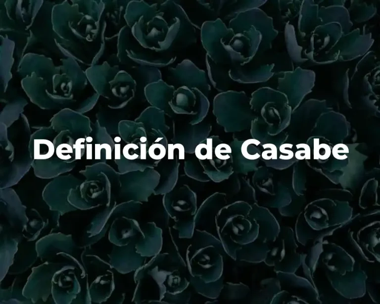 Definición de Casabe