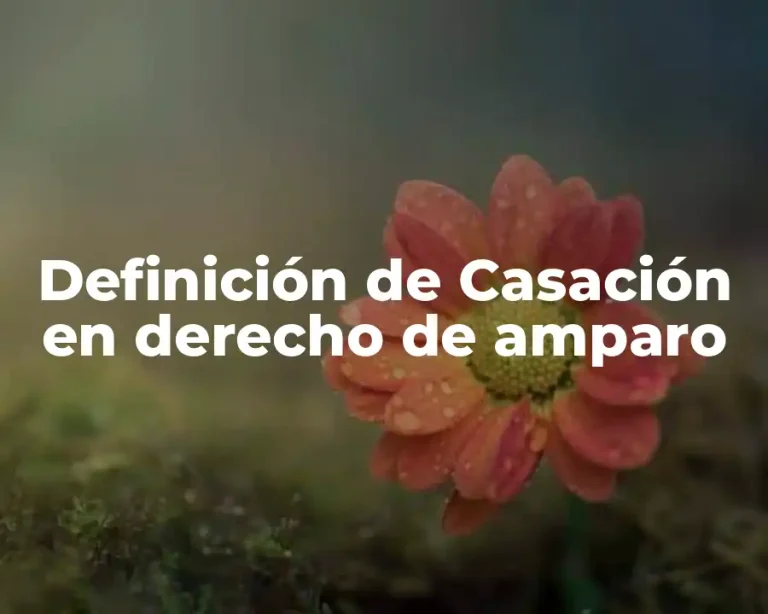 Definición de Casación en derecho de amparo