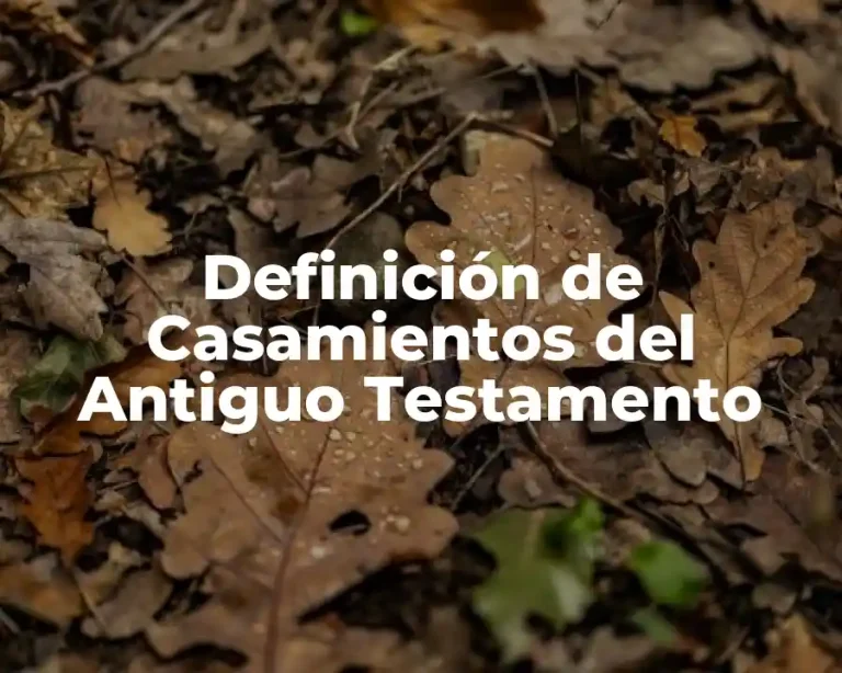 Definición de Casamientos del Antiguo Testamento