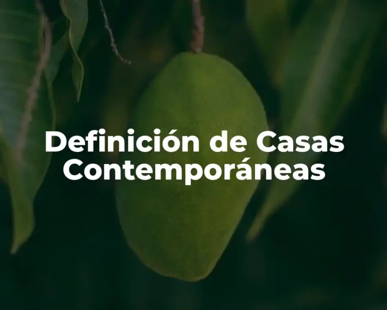 Definición de Casas Contemporáneas