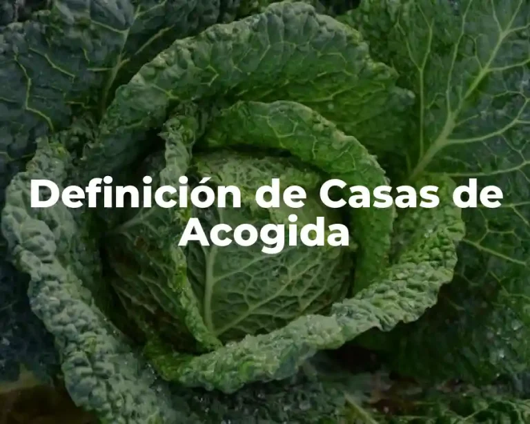 Definición de Casas de Acogida